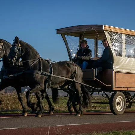 Warnstee Bed & Breakfast Wichmond