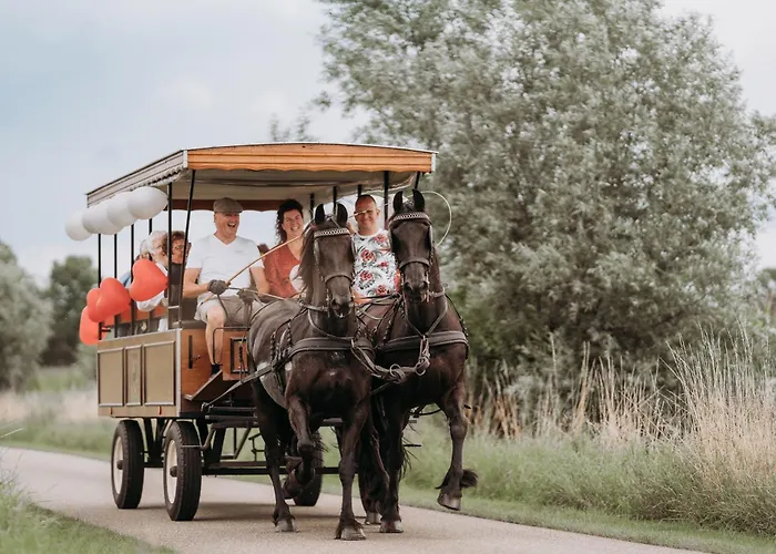 Warnstee 3* Wichmond