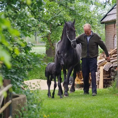 Bed and breakfast Warnstee