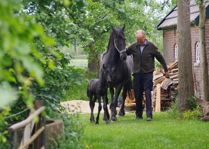 Frühstückspension Warnstee